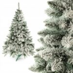 Vianočné stromčeky: ekologická krása